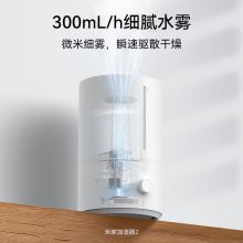 米家 小米加湿器2上加水4L大容量 MJJSQ02LX