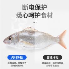 先科SAST 冰柜小型冷柜卧式大容量透明玻璃盖 BD/BC-129蓝白