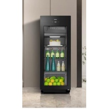 海尔 立式门冰箱 167升冷藏冷冻双温 LC -167LH69D1