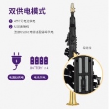 雅马哈 电吹管 YDS-150