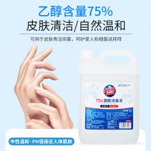 净佰俐 75%酒精消毒液5L/桶 酒精喷雾液体乙醇消毒液车间杀菌（新老包装随机）