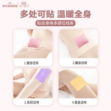 海氏海诺 灸热帖卡通少女款暖宝宝送女友暖贴 绣球花款 10贴/包