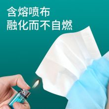 一次性使用医用外科口罩（蓝色）10只/袋*200袋/箱