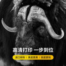 科思特K Q2612A硒鼓 适用惠普m1005mfp 1020plus 1010 佳能LBP2900 12A（2000页）易加粉