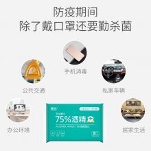 75%酒精消毒湿巾10片装