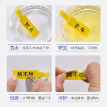 精臣 B50/B50W 标签纸 02F黄 双排 25*38+38mm 400张/卷