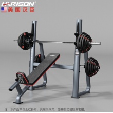 汉臣 奥林匹克上斜练习椅（含2.2米奥杠一支 杠铃片105kg） DISCOVER G3005