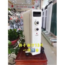 扬子 电暖气 2000瓦