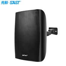 先科 无线壁挂音响家用喇叭公共广播 K10
