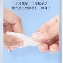 海氏海诺 杀菌湿巾 80片/包 SJ50