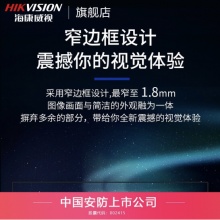 海康威视 监视器 D5022FQ-NA/B