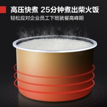 德玛仕 商用电压力锅 特大号电饭煲煲汤煮饭锅 17升25-30人适用 YBD17-190