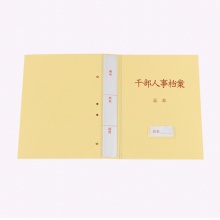 泰档 TD-GBFK45 干部人事档案盒 4.5cm方口纸质款新标准梯形口三孔蛇簧