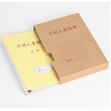 泰档 TD-GBFK45 干部人事档案盒 4.5cm方口纸质款新标准梯形口三孔蛇簧