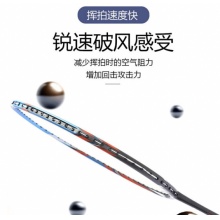 李宁 初级全碳素羽毛球拍学生高性价比单拍 A800 灰蓝(已穿线)