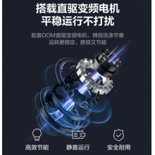小天鹅 波轮洗衣机全自动 直驱变频 10公斤大容量 升级除螨 TB100V23DB
