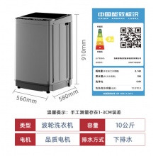 荣事达 洗衣机10公斤全自动波轮大容量家用脱水机可预约洗衣机 ERVP192020T