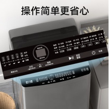 荣事达 洗衣机10公斤全自动波轮大容量家用脱水机可预约洗衣机 ERVP192020T