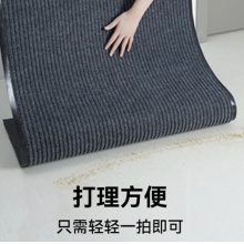 国产 防滑地垫 进门脚垫 60CM*90CM