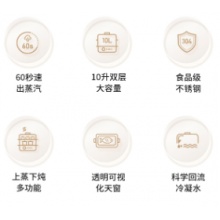 蓝宝 电蒸锅 BP-ZG01