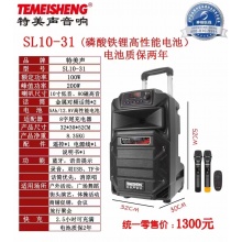 特美声 SL10-31音响