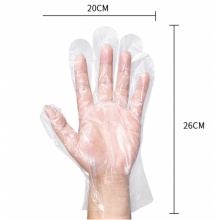 云蕾 一次性手套100支装 食品手套加厚塑料PE薄膜手套厨房烘焙防护 10670