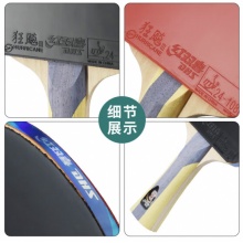 红双喜 五星级乒乓球拍 横拍H5002 全能型专业套胶双面反胶单拍 附拍套