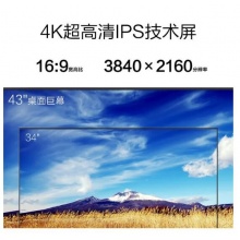 飞利浦(PHILIPS)43英寸4K显示器10bit IPS 分屏 自带音响 可壁挂 438P1