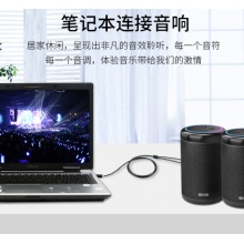 晶华 3.5mm转双6.5mm（6.35）一分二音频线  3米 A152H