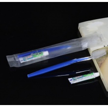 酒店宾馆客房用品 一次性牙具 牙刷牙膏二合一套批发 旅行者袋装黑妹6克牙具 1个