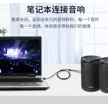 晶华 3.5mm转6.5mm（6.35）一分二音频线 5米 A152I