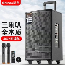 新科 拉杆音箱8寸 双话筒 N26