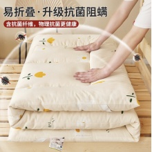 南极人 新疆棉花床垫单人床褥子 90x200cm 约4斤重