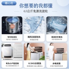 美的 波轮洗衣机全自动 65V35 6.5公斤 小型迷你 随心洗系列 MB65V35E