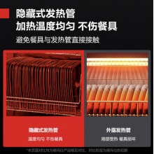 德玛仕 热风循环高温消毒柜 立式商用 餐厅酒店厨房用 大容量 不锈钢双门餐具消毒碗柜 RTD980PD-1