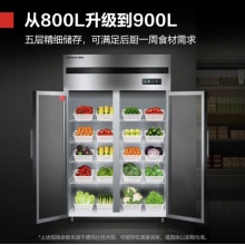 德玛仕 商用立式保鲜展示柜冰箱冷藏柜 900L BCD-900A-2C