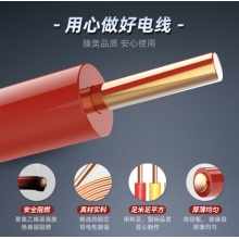 德力西 电线电缆 BV2.5平方 单芯单股铜线 铜芯电线 红色/黄色/双色 100米