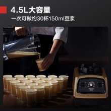 德玛仕 破壁机 现磨豆浆机免滤全自动大功率料理机 4.5升杯体款 内置滤网-不带加热 YL-BS22
