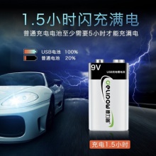德力普 9v充电电池2粒装