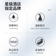 泰华施 铁光不锈钢亮洁剂 94970590