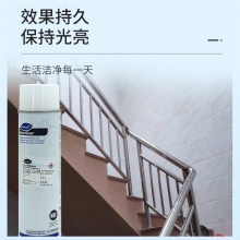 泰华施 铁光不锈钢亮洁剂 94970590