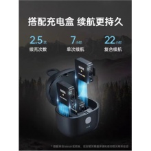 罗德 麦克风一拖二锂电池款小蜜蜂 GOII