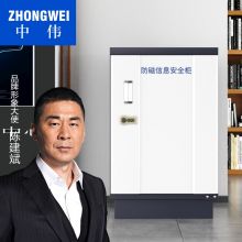 中伟防磁柜档案消磁柜光盘磁盘防磁柜ZW-90防潮防火防磁柜3抽