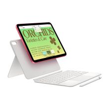 Apple iPad 第10代 10.9英寸平板电脑 2022年款 256GB WLAN版A14芯片iPadOS MPQ83CH/A 银色