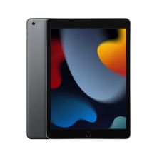 Apple iPad 第 9 代 10.2英寸平板电脑 2021年款 256GB WLAN版/A13芯片/iPadOS MK2N3CH/A深空灰色