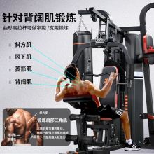 军霞 DZ303综合训练器械 2022全新升级款