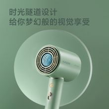 飞科 FLYCO 电吹风机 柔风负离子恒温护发 FH6310