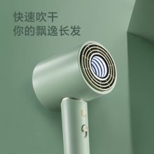 飞科 FLYCO 电吹风机 柔风负离子恒温护发 FH6310