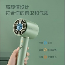 飞科 FLYCO 电吹风机 柔风负离子恒温护发 FH6310