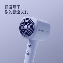 飞科（FLYCO）电吹风 负离子柔风护发 FH6358